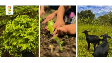 Reserva Jonny | Parelheiros | RP-UPCR-0022